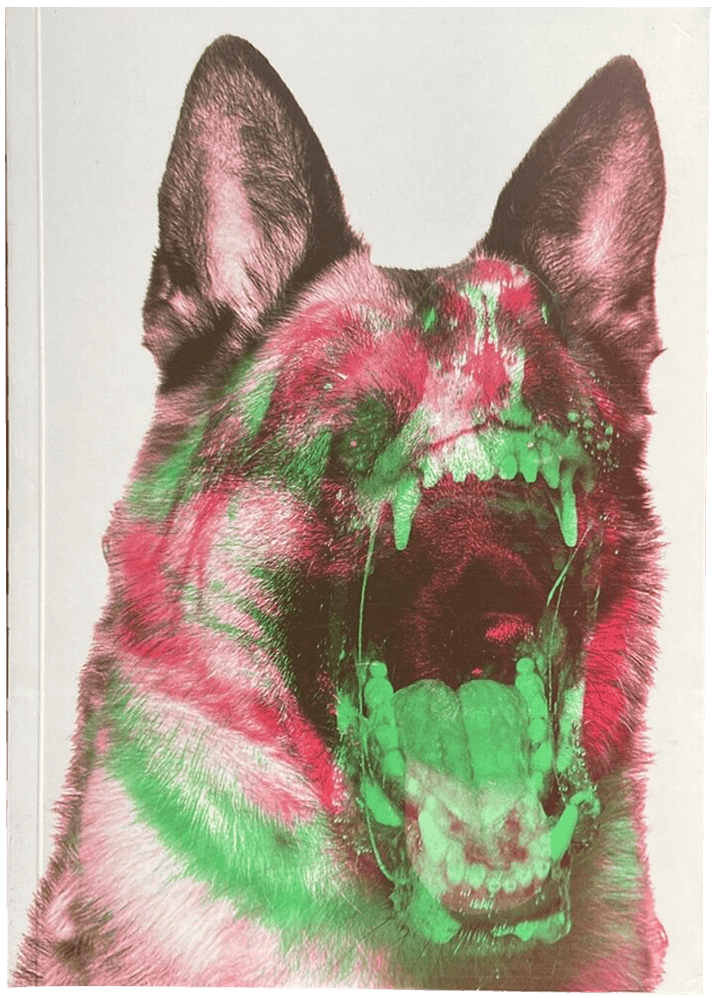 cover of Made You Look